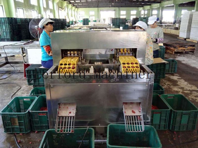 Olive Pitting Equipment Olive Pitting Equipment
