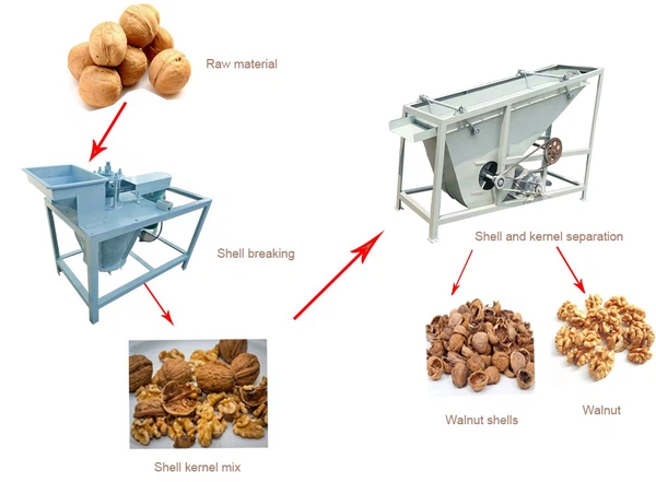 Automatic Walnut Cracking Machine Automatic Walnut Cracking Machine