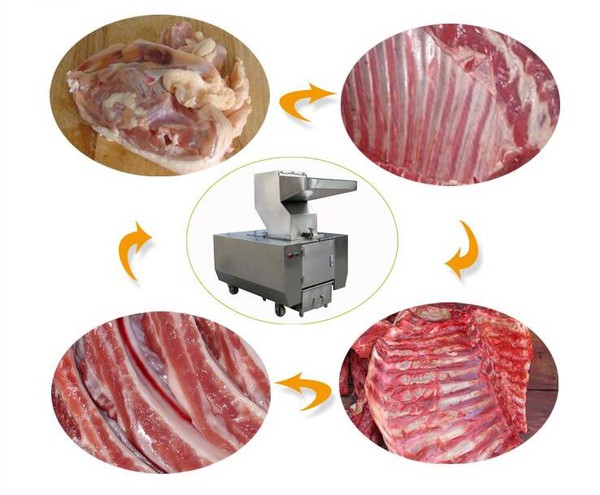 meat grinder will grind bones meat grinder will grind bones
