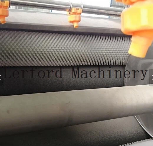 carrot washing machine