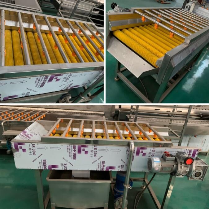 Machine To Clean Fruits And Vegetables